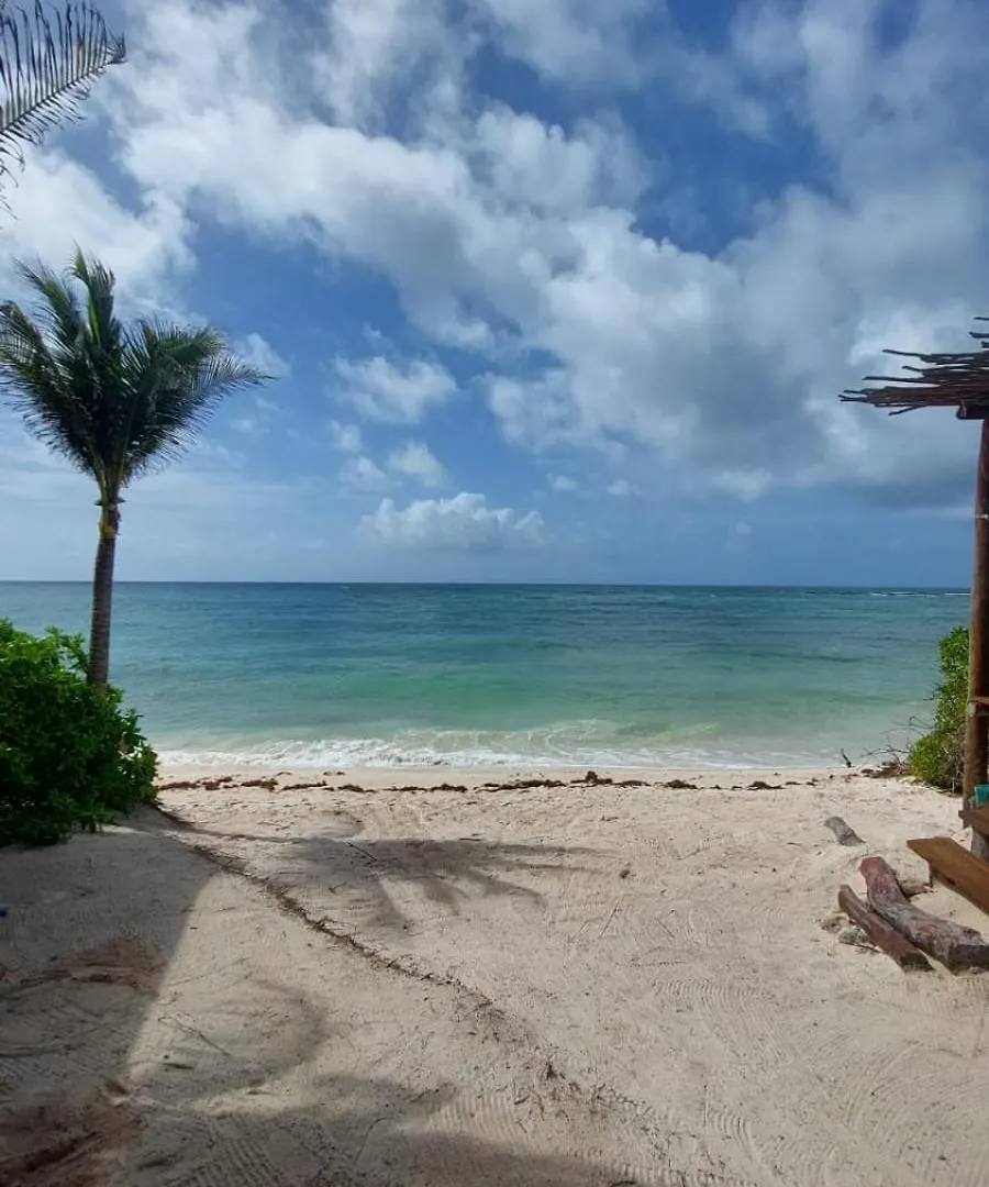 Xpuha Bonanza Otel Xpu Ha